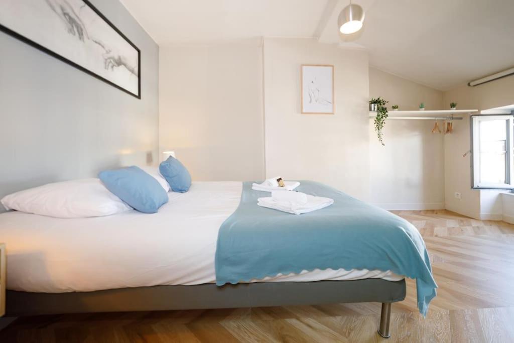 T2 Cozy Proche Du Centre Avec Canapé Lit - 51blatin Clermont-Ferrand